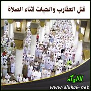 قتل العقارب والحيات أثناء الصلاة ( من المرتع المشبع )