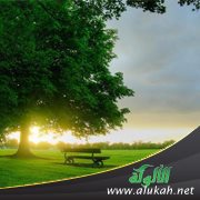 تمام السعادة بالرضا عن الله ( قصيدة )