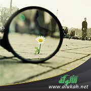كن جميلا (9)