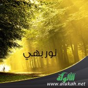 نور بهي ( قصيدة )