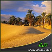 اخضرار الصحراء ( قصيدة )