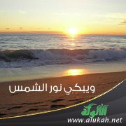 ويبكي نور الشمس