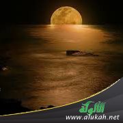 إلى مسمار ( قصيدة )