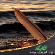 أخي صبرا ( قصيدة )