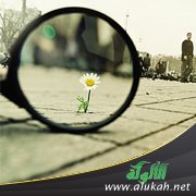 كن جميلا (12)