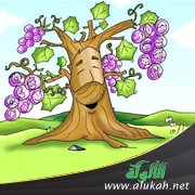 حكاية شجرة ( للأطفال )
