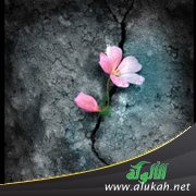 الآن عرفت قيمتك
