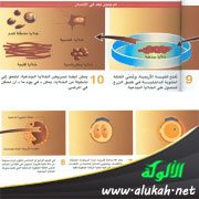 الاستنساخ البشري التوالدي حرام