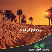 مصادر أمنية ( قصص )