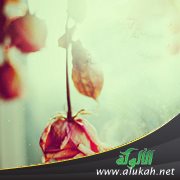 نكهة سفر