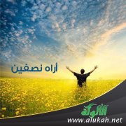 أراه نصفين