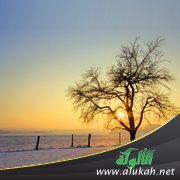 عزف الوحدة الصباحي