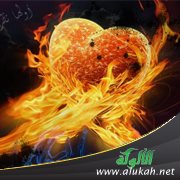 الفرقة بين الزوجين بسبب الإصرار على الزنا