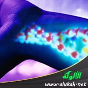 أصول الإنسان محفوظة في جيناته