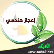 إعجاز هندسي !