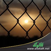 الدنيا سجن ( قصيدة )