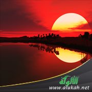 انعكاس ( قصيدة )
