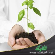 تجارة السباقين