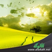 كسر الصمت