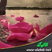 تقلبات نفسية لبعد زوجتي عني