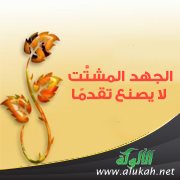 الجهد المشتت لا يصنع تقدما