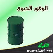 الوقود الحيوي