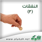 النفقات (3)