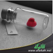 قلب صغير