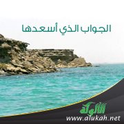 الجواب الذي أسعدها
