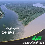 عذب فرات.. وملح أجاج