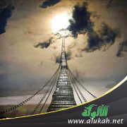 استقيموا ولا تطغوا