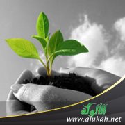 الجزاء الدنيوي