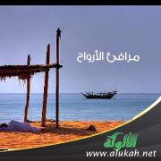 مرافئ الأرواح ( قصيدة )
