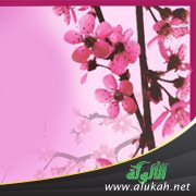 روعة مواجهة