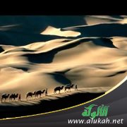 كيف نحقق مفهوم الهجرة؟