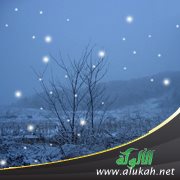 أول أيام الشتاء (قصة)