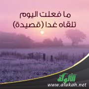 ما فعلت اليوم تلقاه غدا ( قصيدة )