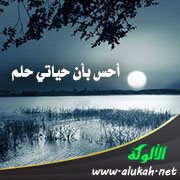 أحس بأن حياتي حلم