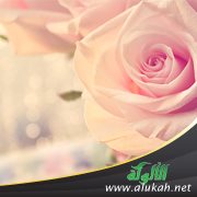 هل دواء مثل حب؟! (قصيدة)