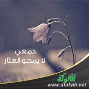 دمعي لا يمحو العثار! ( قصيدة )