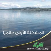 المشكلة الأولى عالميا