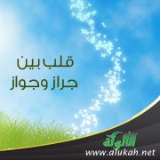قلب بين جراز وجواز (قصيدة)