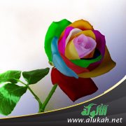 الإسلام وتكريم البنات (2)