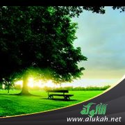 هدية من غير إهداء