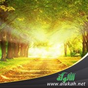 مدخل إلى الهدى والهداية