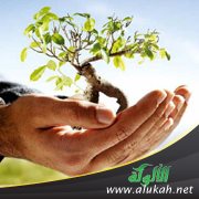 الدولة ومسؤوليتها نحو الأخلاق