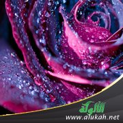 حينما يتعطش الورد للندى