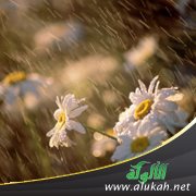 الغيث سبيل السلامة وليس موضع الملامة