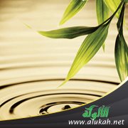 الغاية والوسيلة