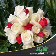إلى "زيد" من الأصحاب في حفل زواجه ( قصيدة )